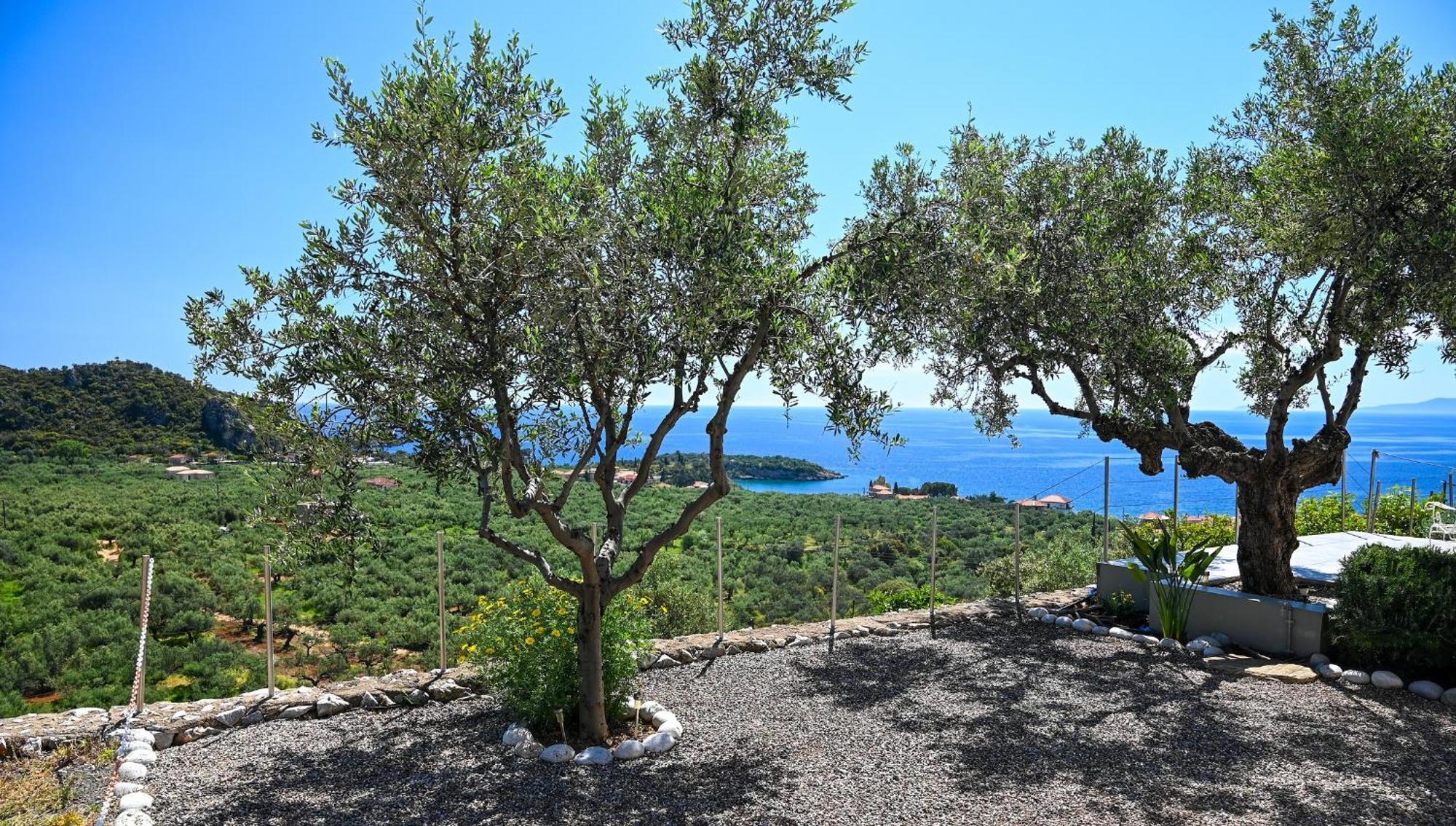 Athina'S Stone House In Kardamyli Villa Exterior photo