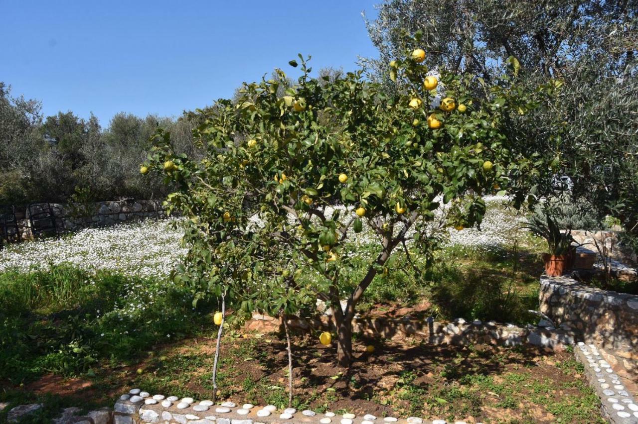 Athina'S Stone House In Kardamyli Villa Exterior photo